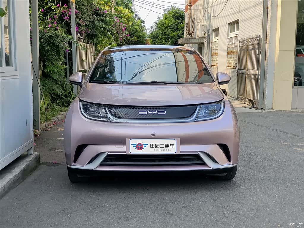 BYD Dolphin, 2022 2