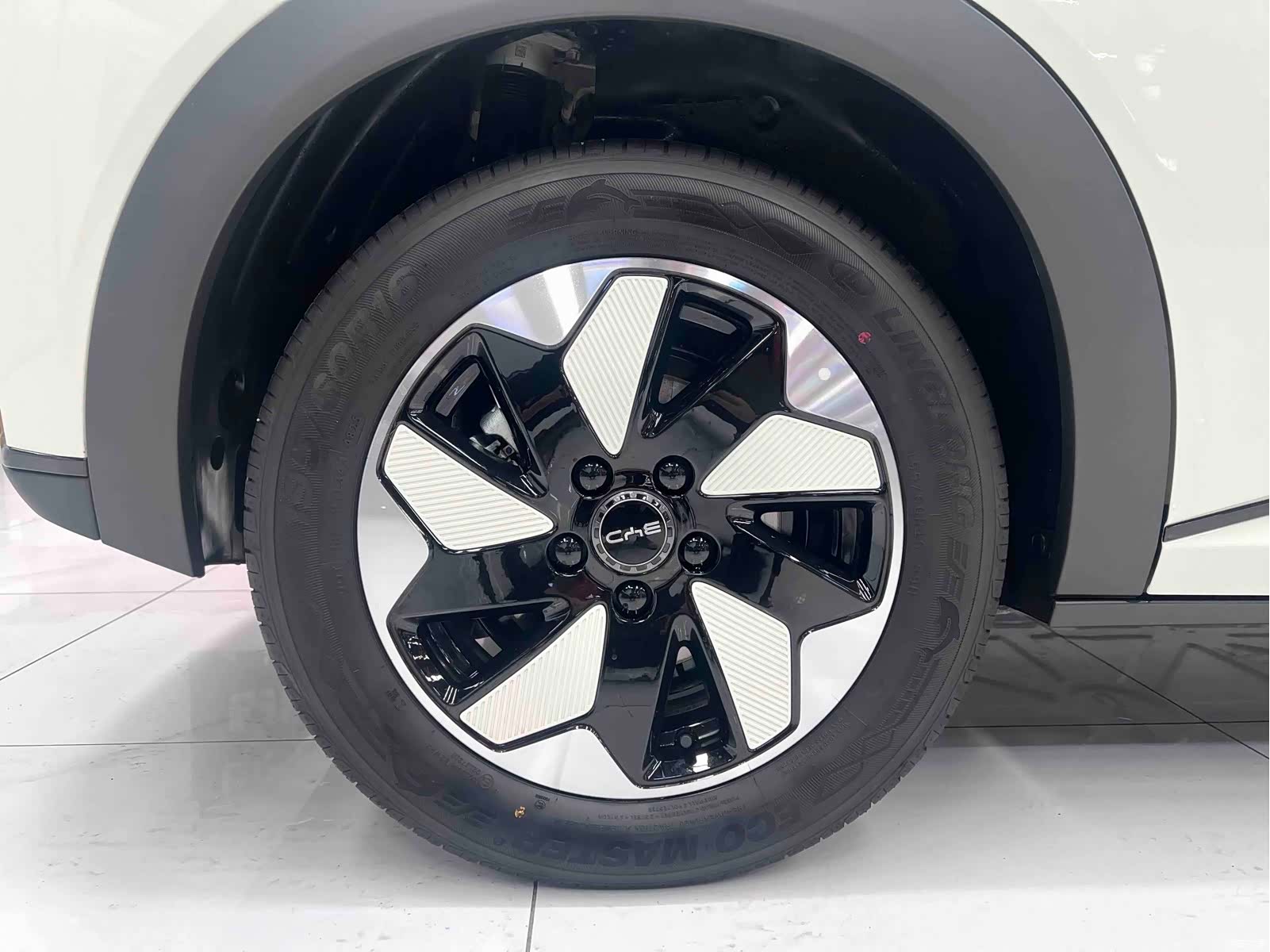 BYD Dolphin, 2026 17