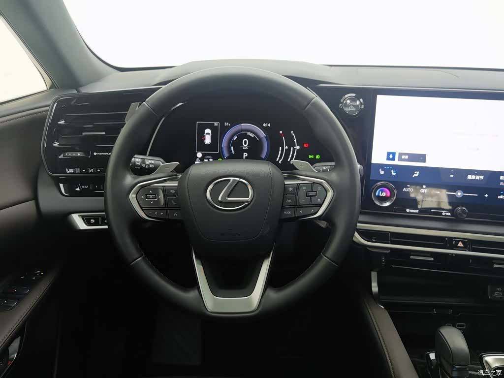 Lexus RX, 2024 11
