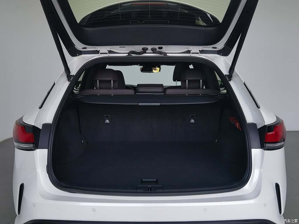 Lexus RX, 2024 16