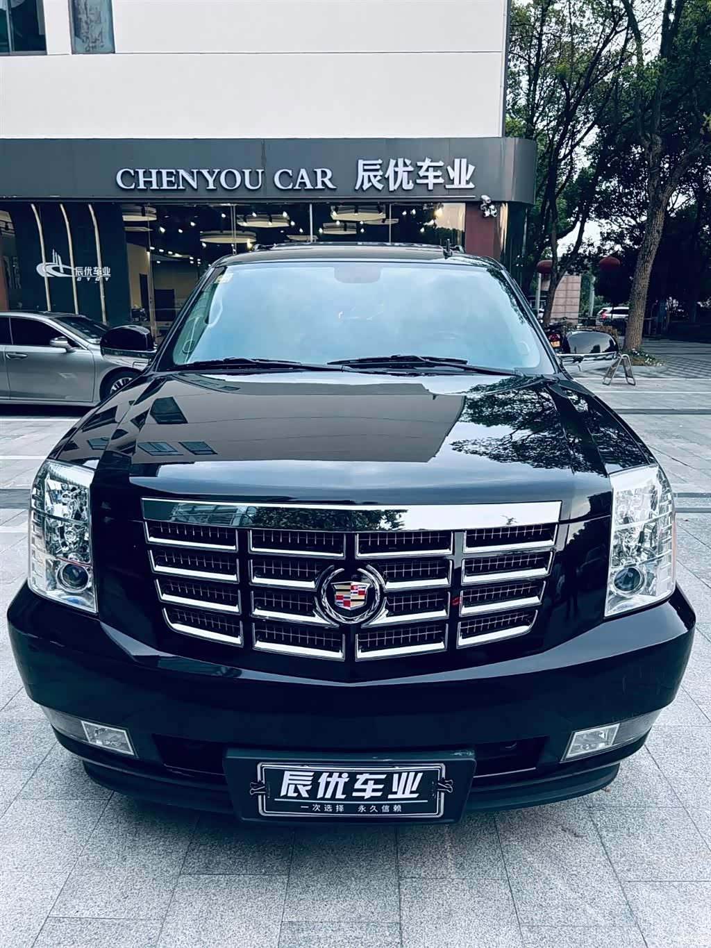 Cadillac Escalade, 2010 6