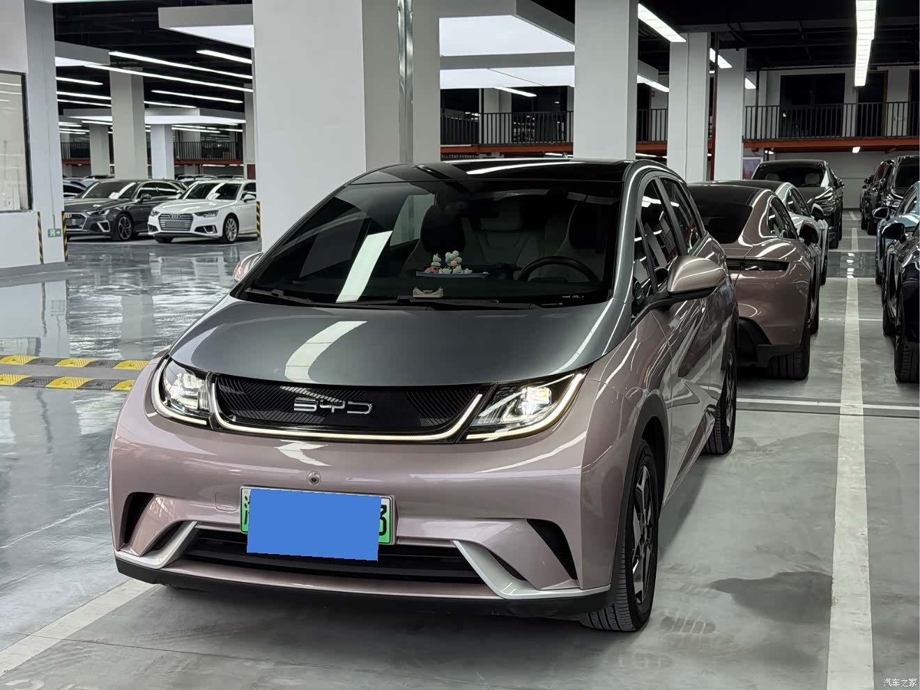 BYD Dolphin, 2022 1