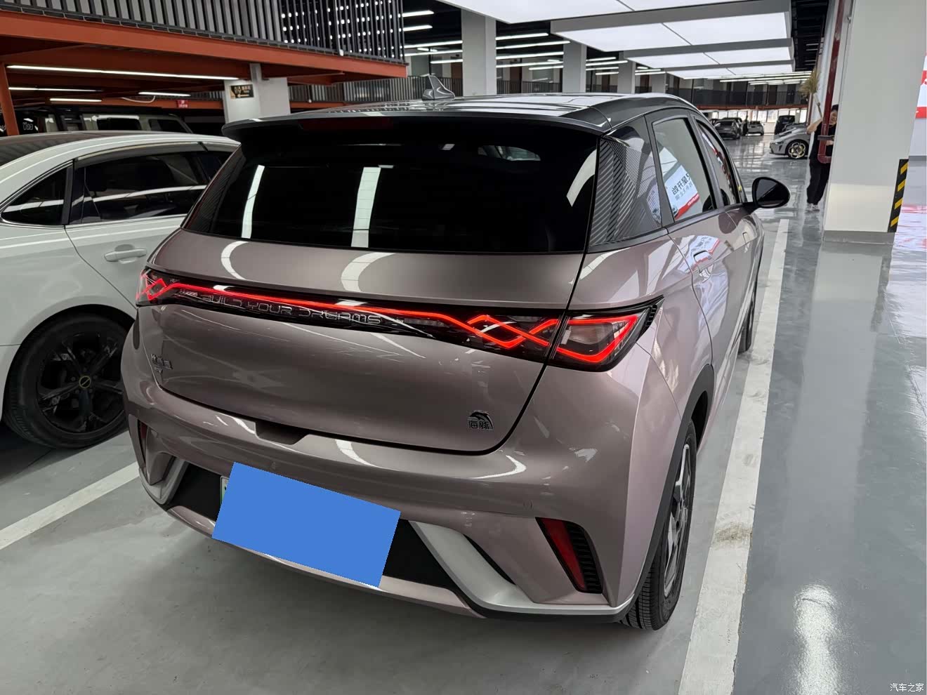 BYD Dolphin, 2022 9