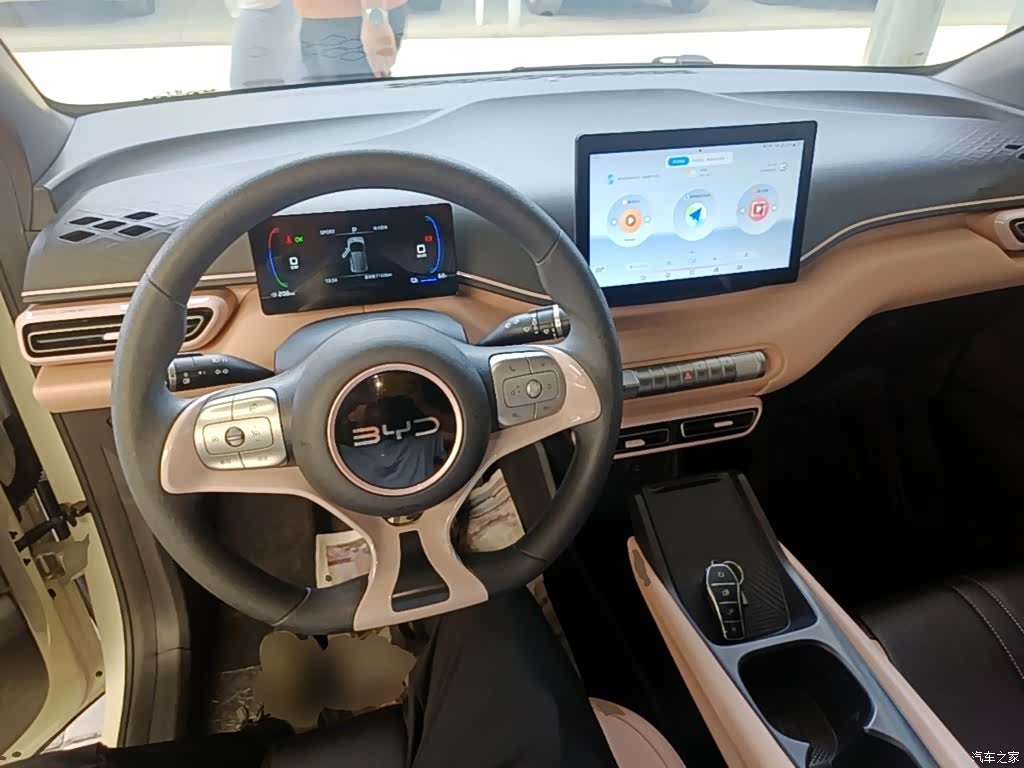 BYD Seagull, 2024 10