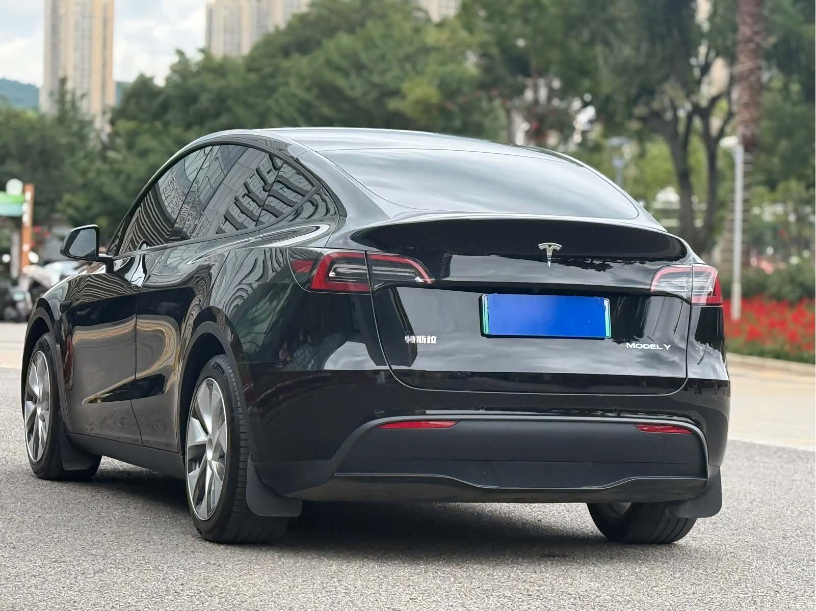 Tesla Model Y, 2021 9
