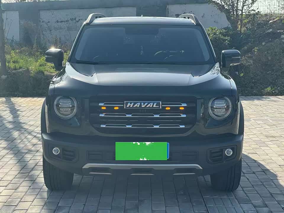 Haval Big dog