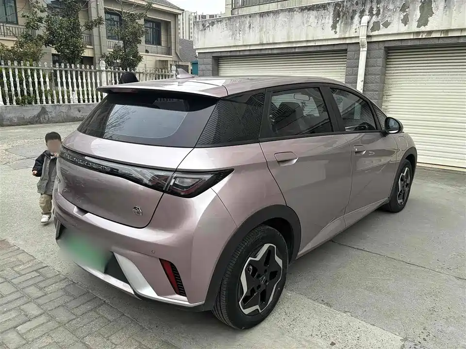 BYD dolphin