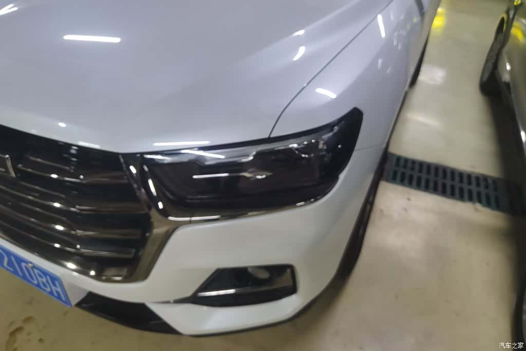 Haval H6, 2021 все фото