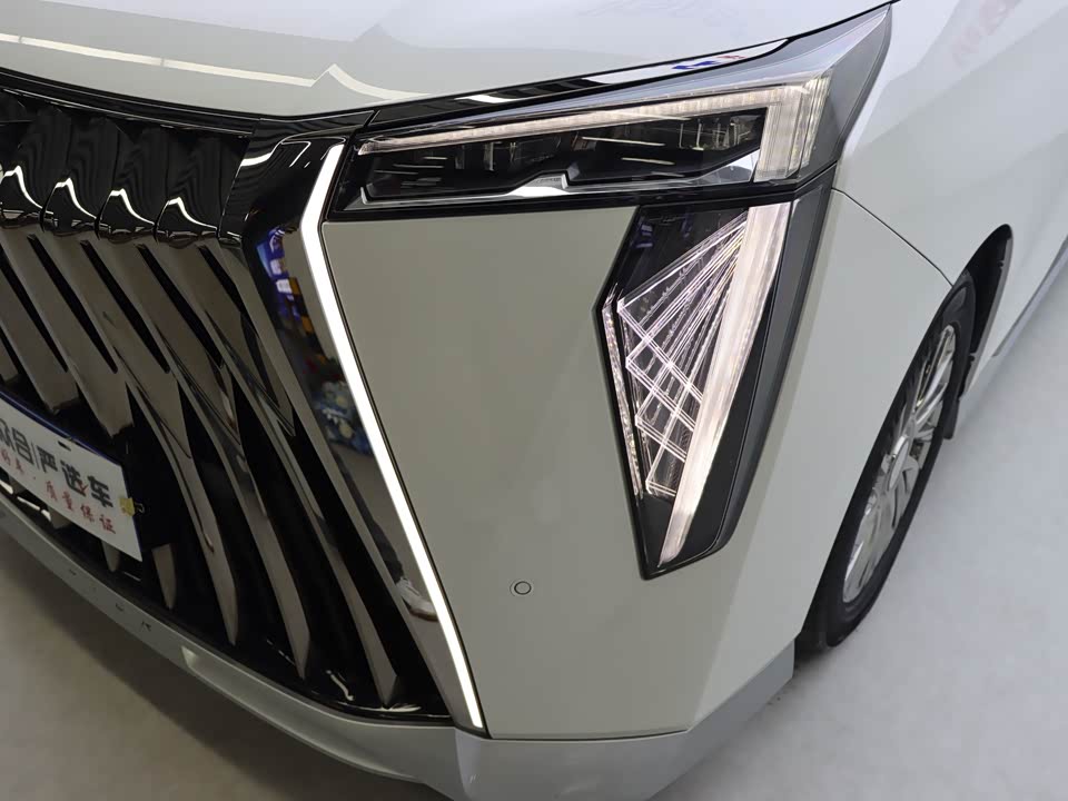 Trumpchi Trumpchi M8