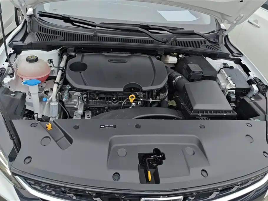 Geely Binrui