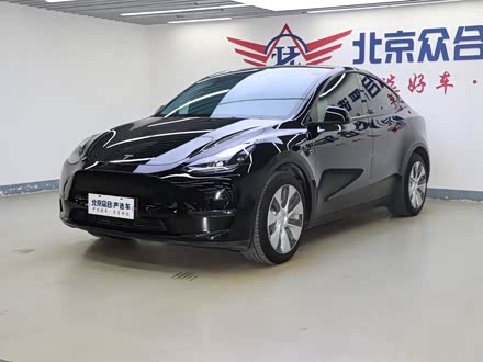 Model Y 2021 ׼
