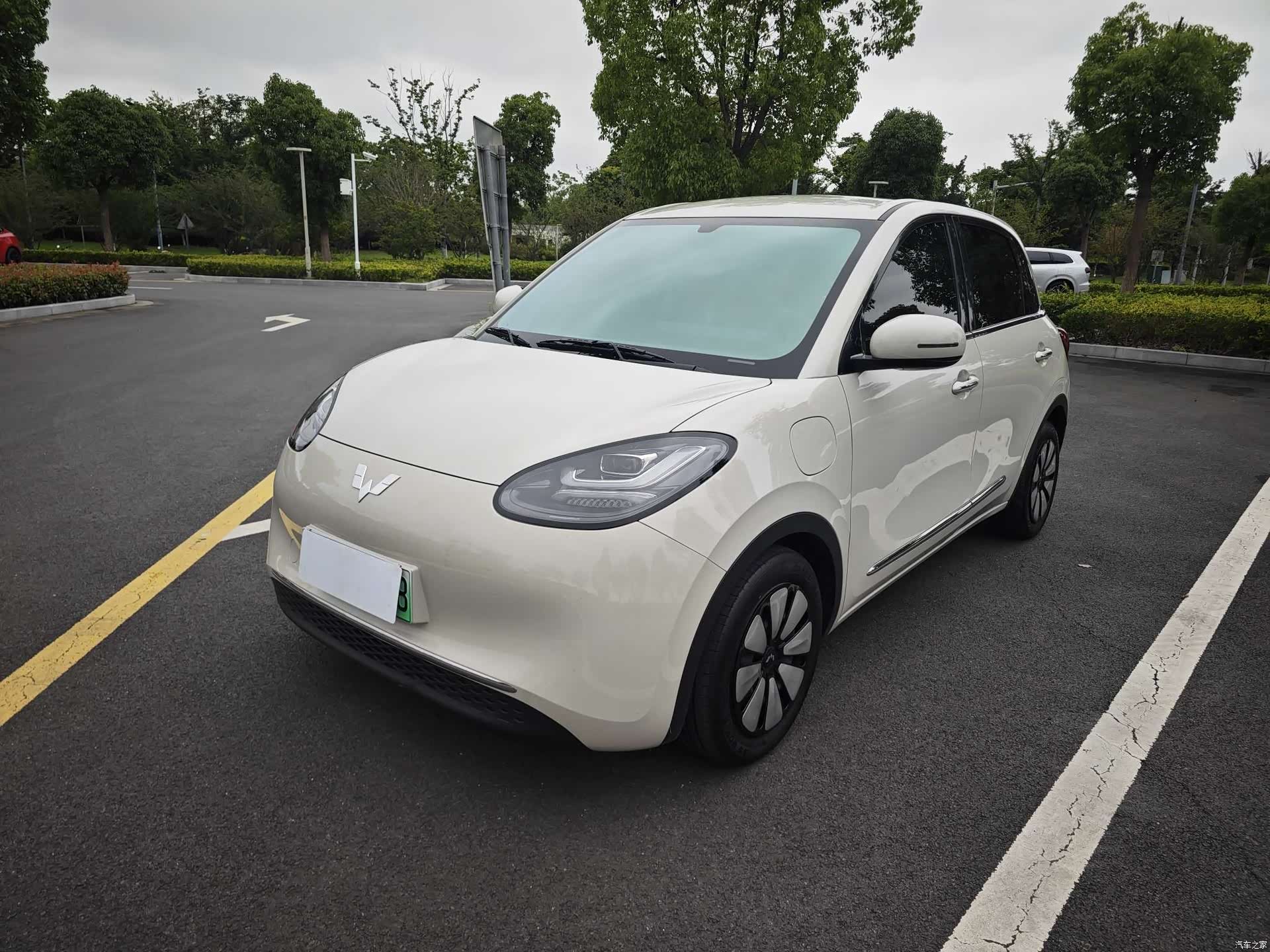 Wuling Bingo