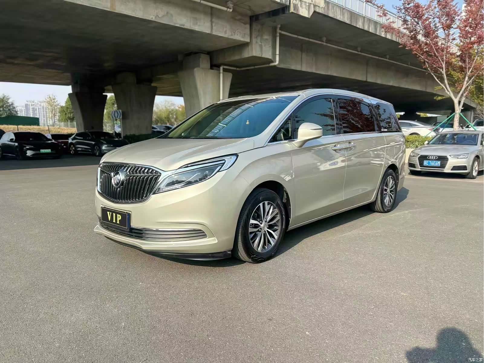 Buick GL8, 2019 1