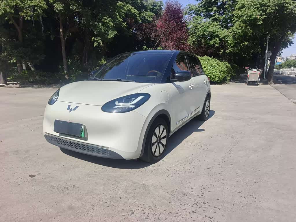 Wuling Binguo