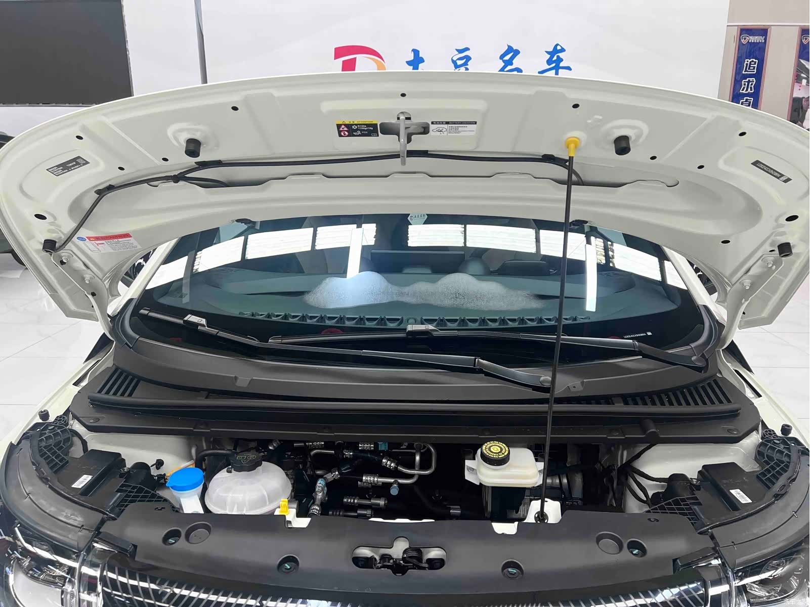 BYD Dolphin, 2026 13