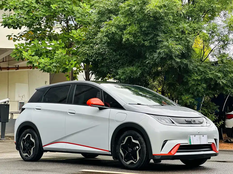 BYD dolphin