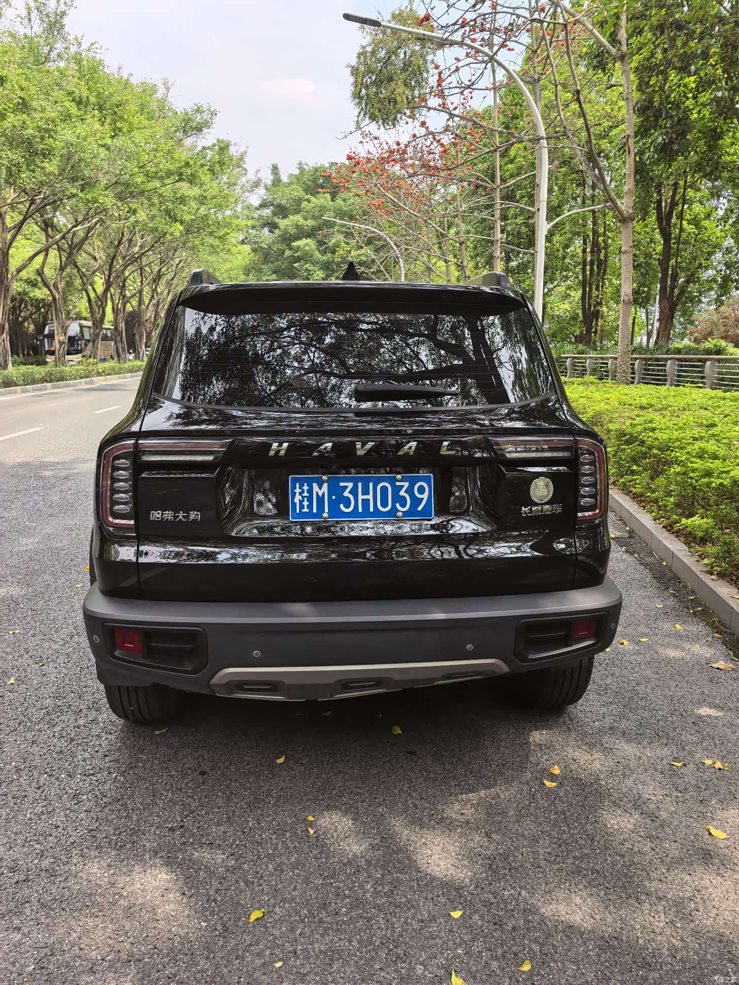 Haval Big Dog, 2021 10