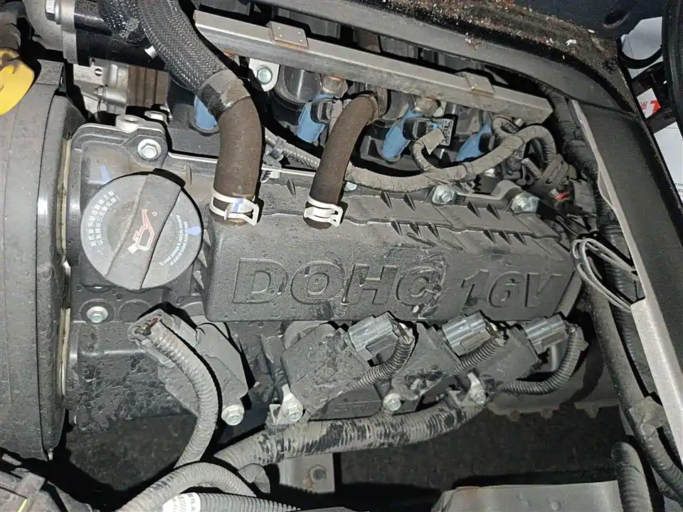 Jinbei Little Sea Lion X30