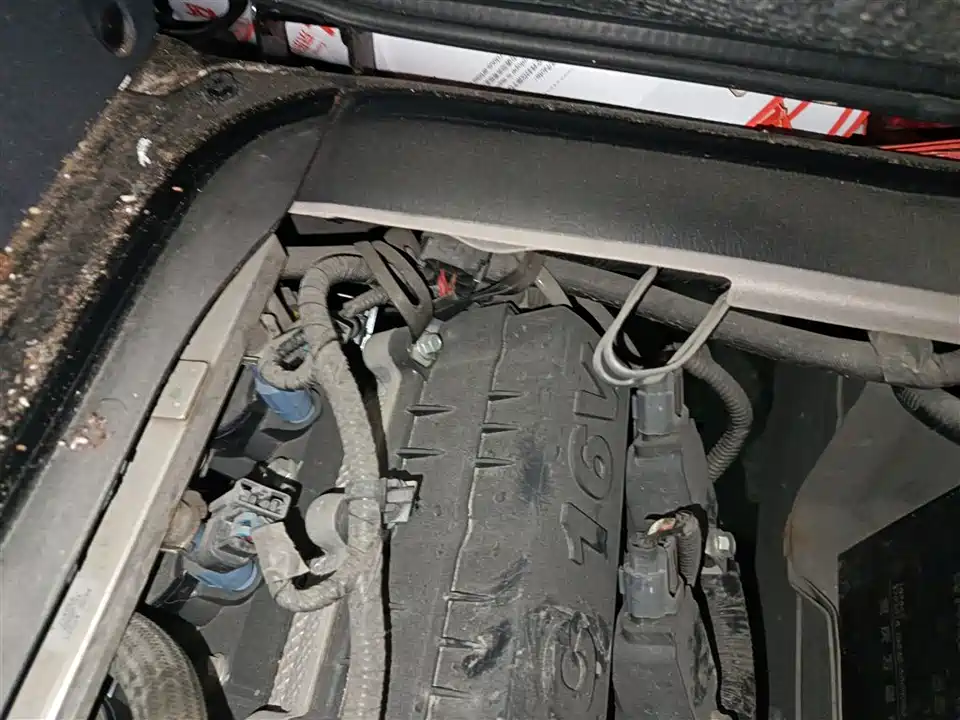 Jinbei Little Sea Lion X30