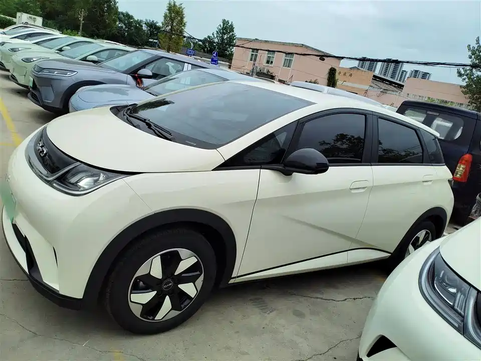 BYD dolphin