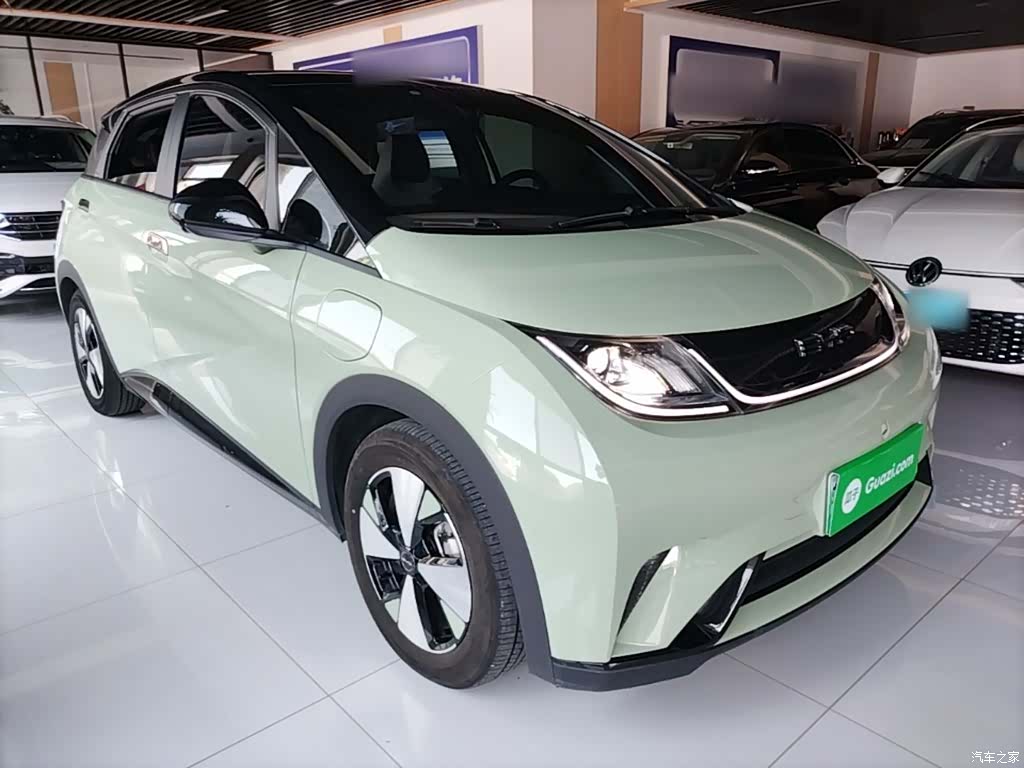 BYD Dolphin, 2023 4