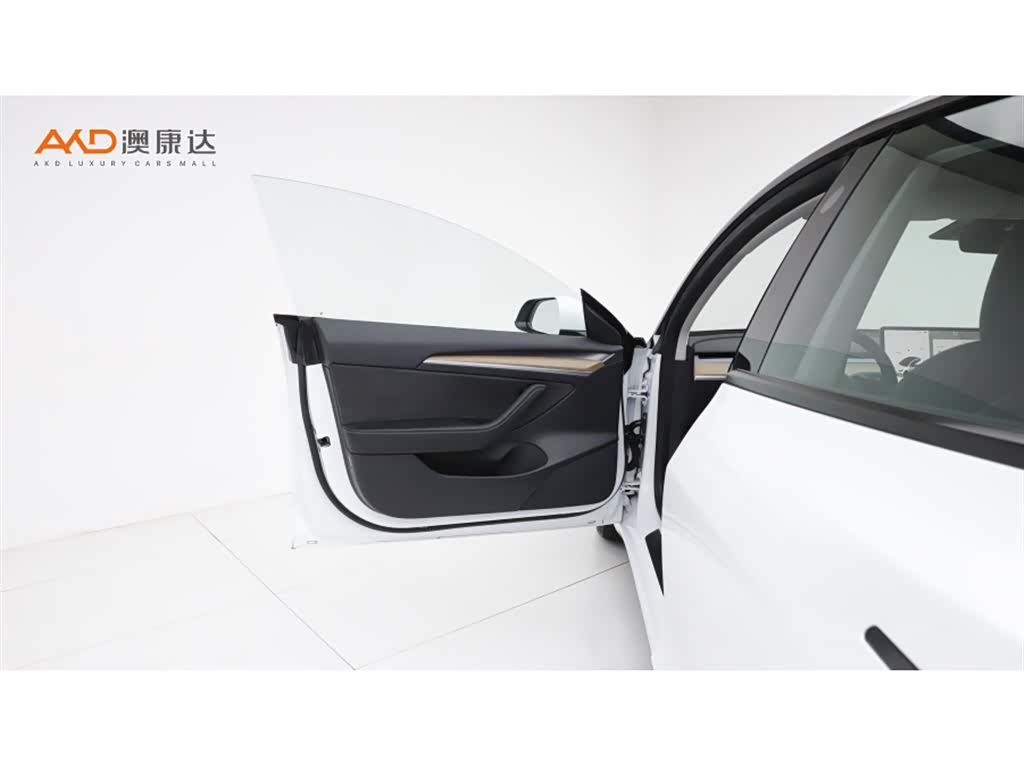Tesla Model 3, 2021 10