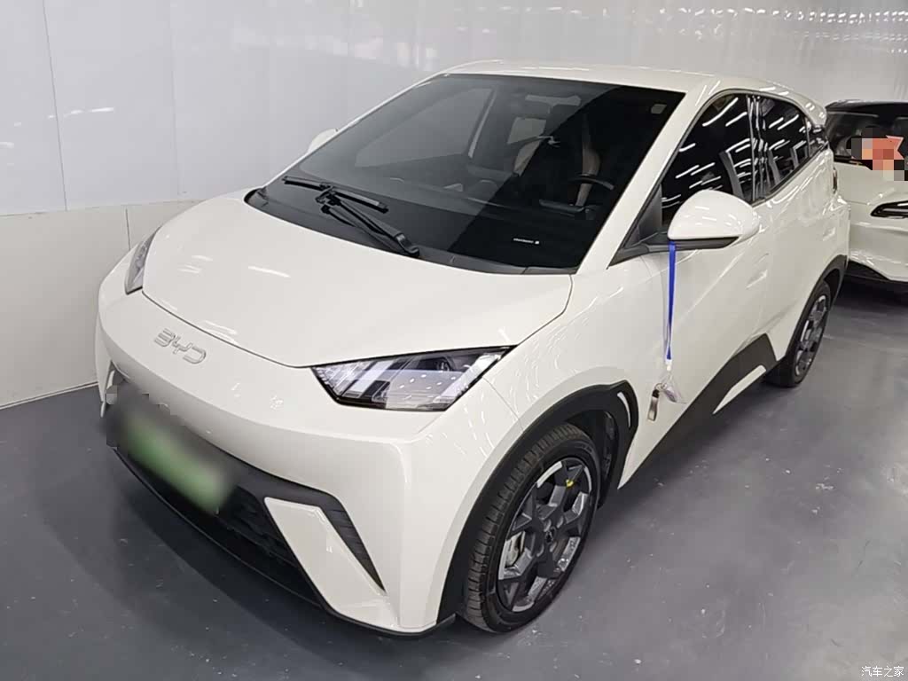 BYD Seagull, 2024 1
