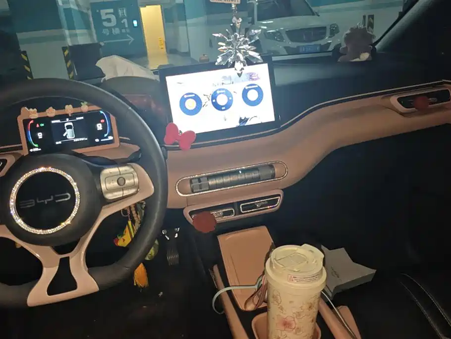 BYD Seagull