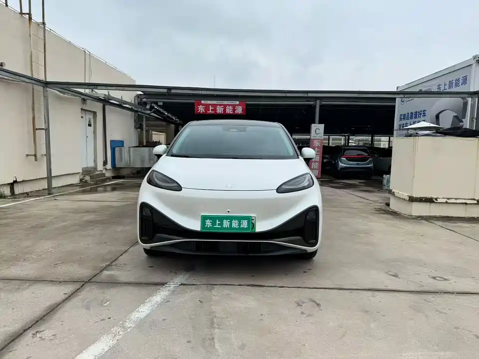 ARCFOX Polar fox koala