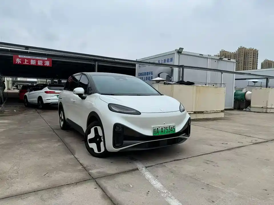 ARCFOX Polar fox koala