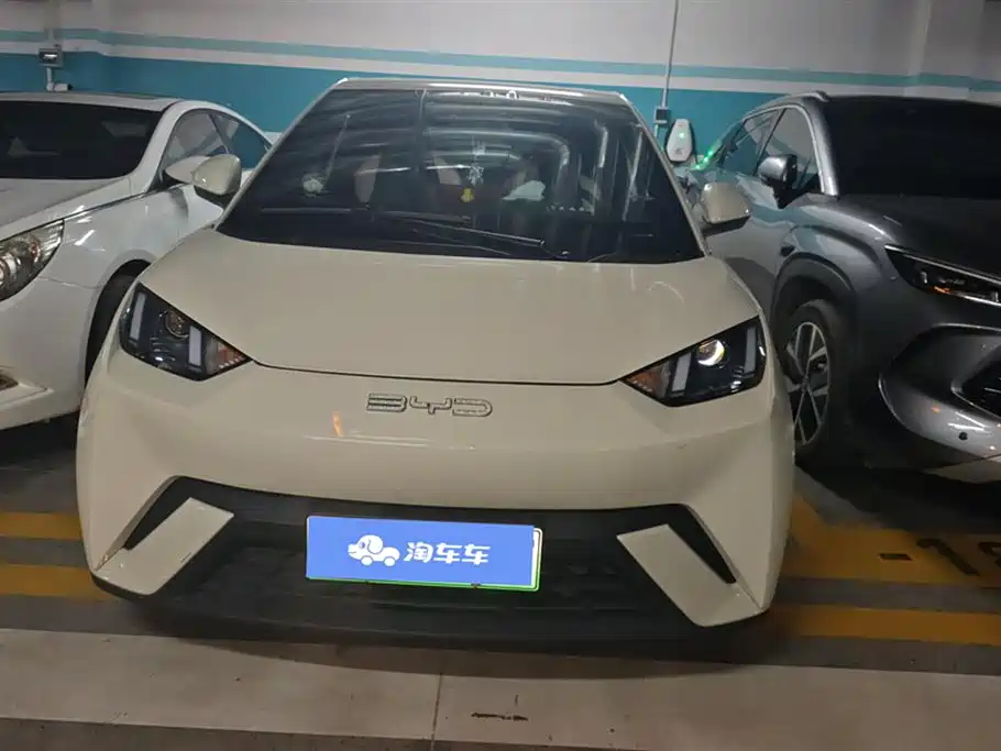 BYD Seagull