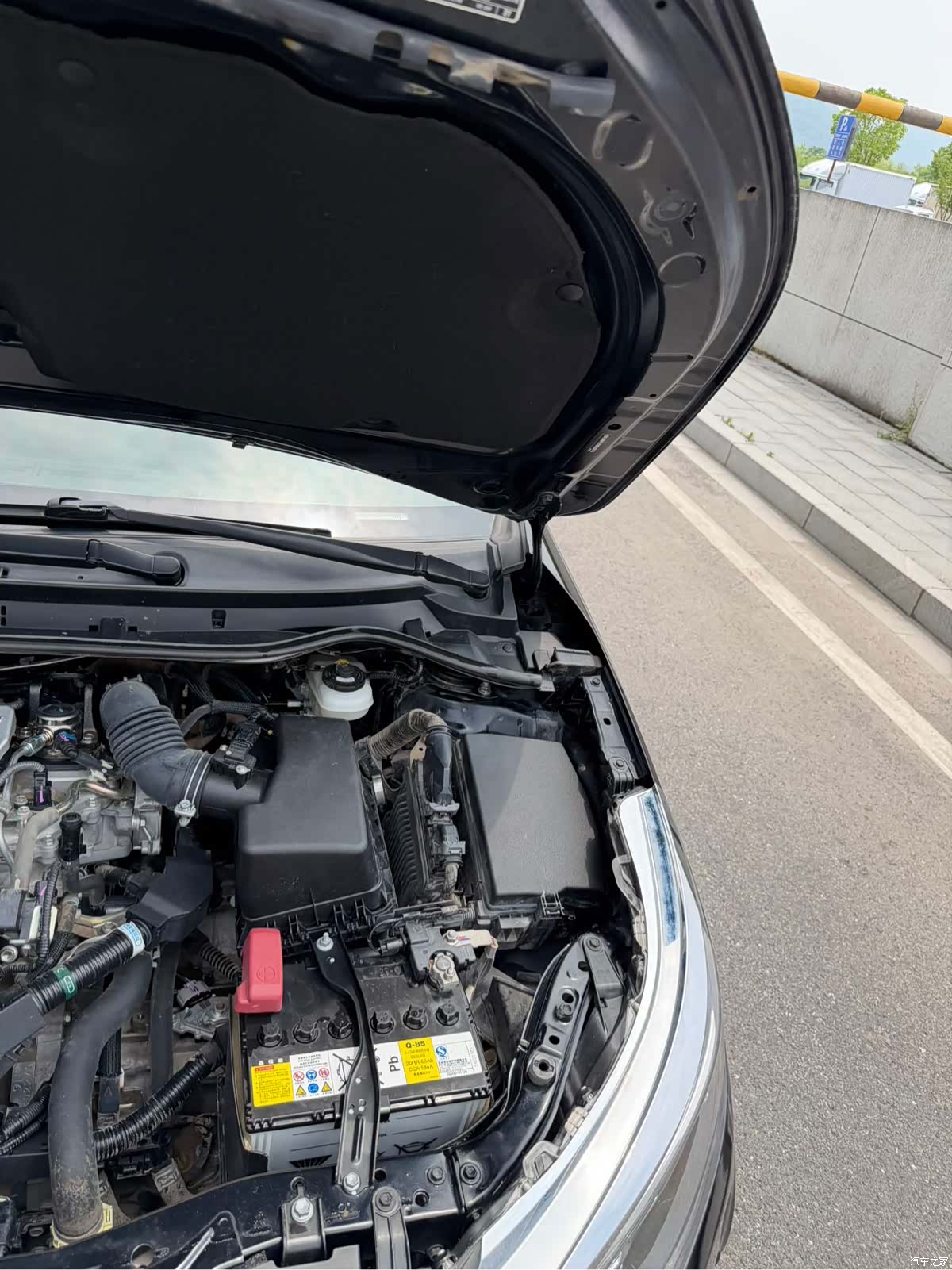 Toyota Levin, 2019 16