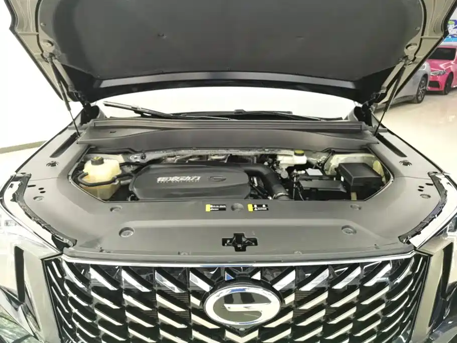 Trumpchi Trumpchi GS8