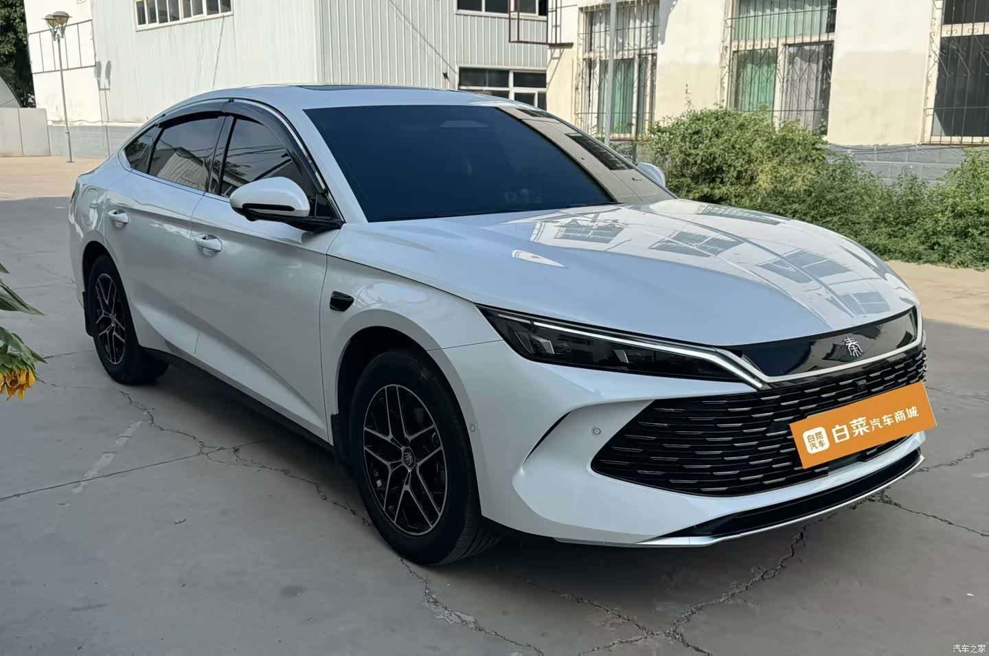 BYD Qin, 2026 3