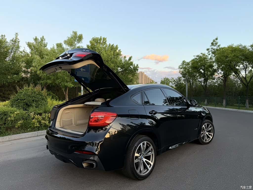 BMW X6, 2017 8