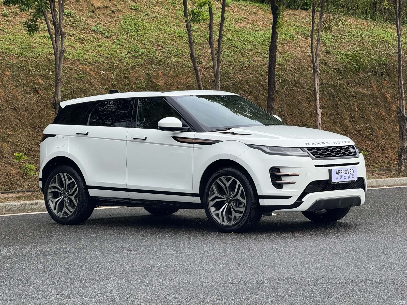 Land Rover Range Rover, 2020 3