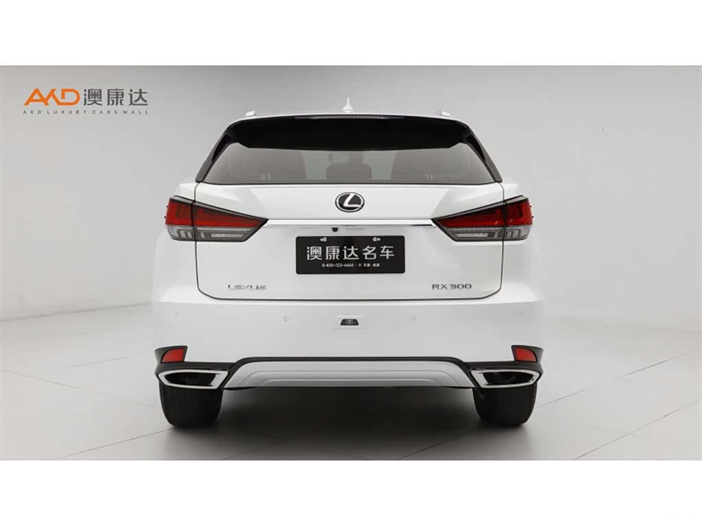 Lexus RX, 2021 4