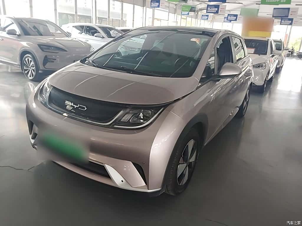 BYD Dolphin, 2023 1