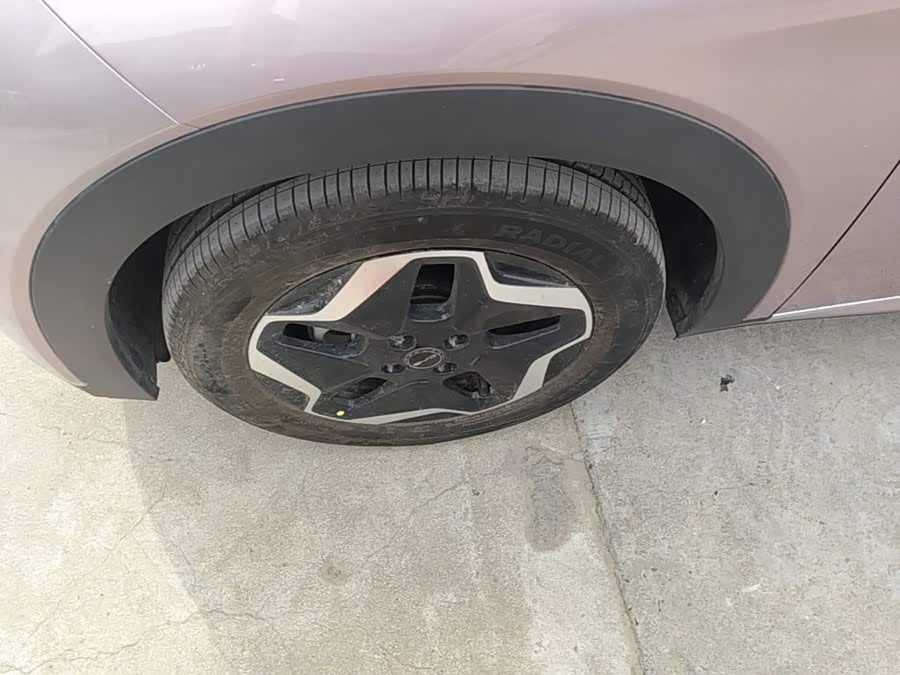 BYD Dolphin 2022, фото 22