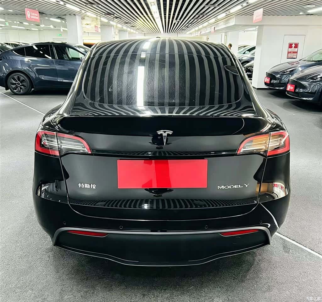 Tesla Model Y, 2022 все фото