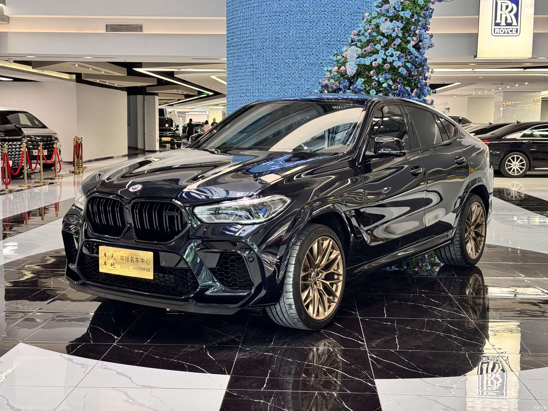 BMW X6