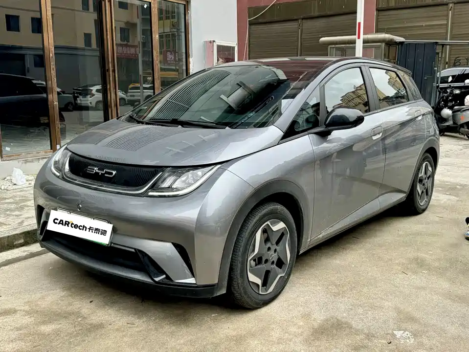 BYD dolphin