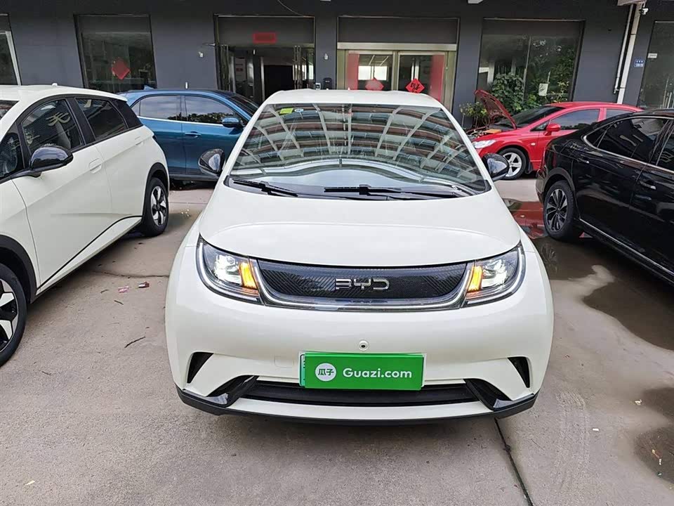 BYD dolphin
