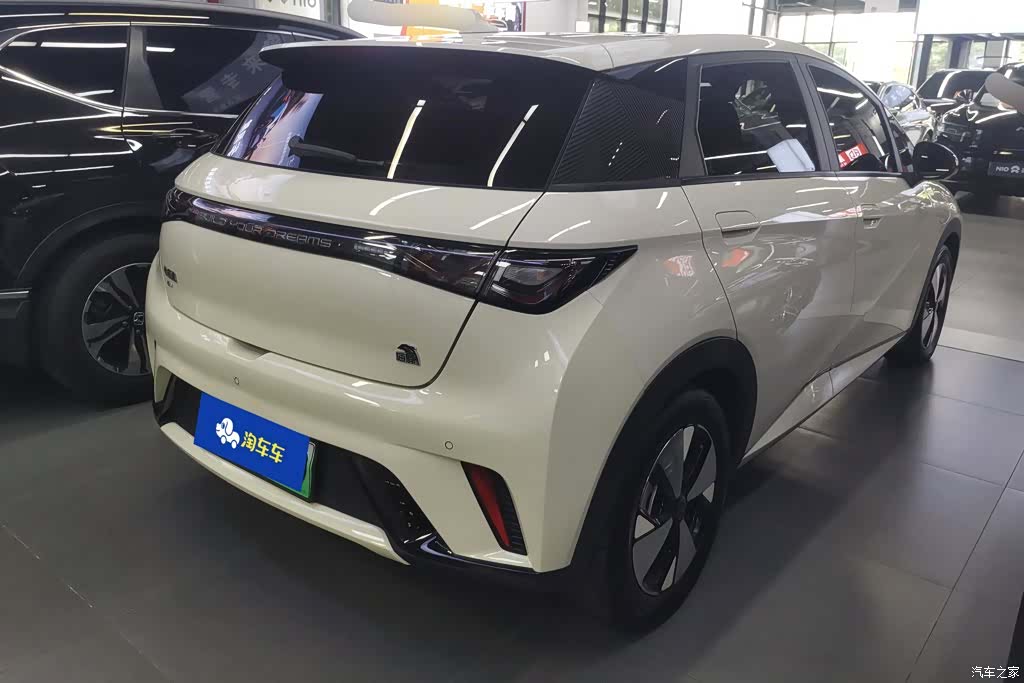 BYD Dolphin, 2023 3