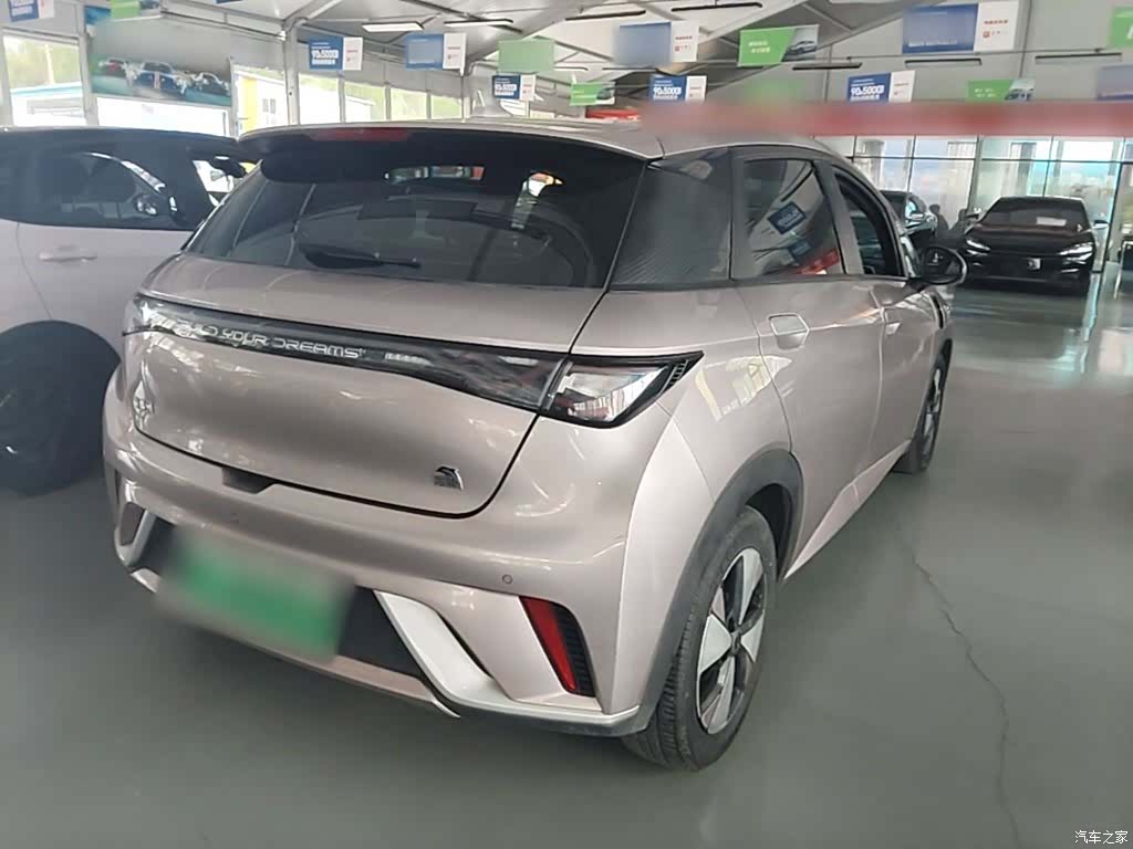 BYD Dolphin, 2023 7