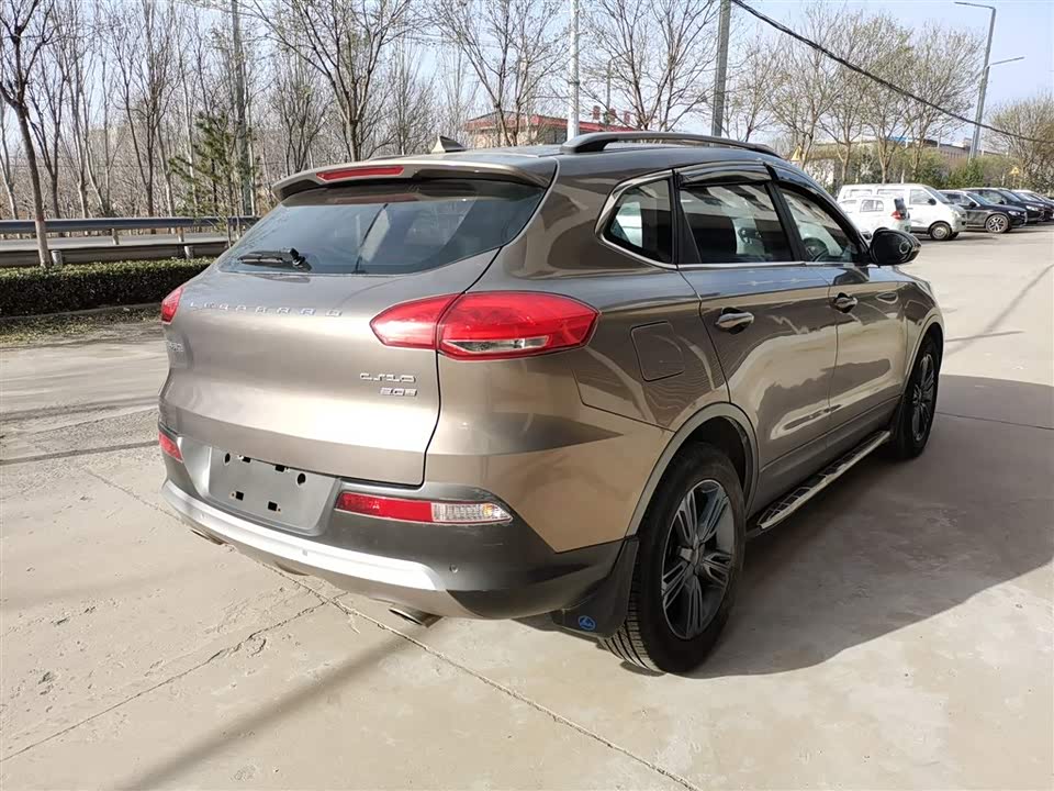 Leopaard Cheetah CS10