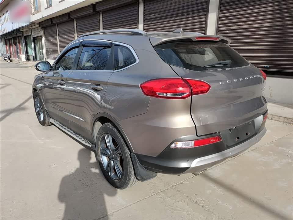 Leopaard Cheetah CS10