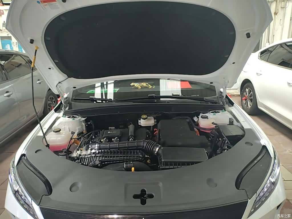 BYD Qin, 2025 20