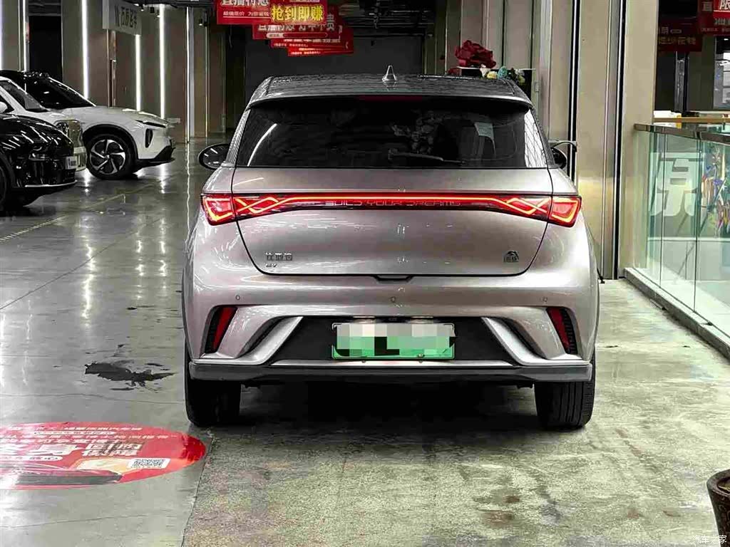 BYD Dolphin, 2024 4