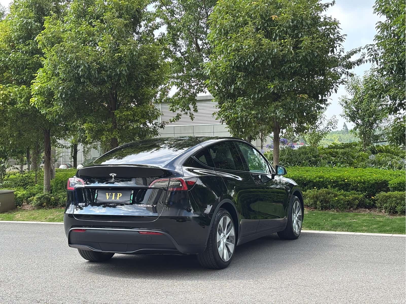 Tesla Model Y, 2023 все фото